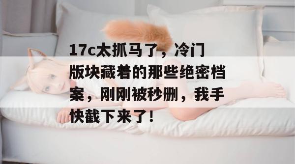 17c 第17页